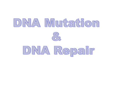 ReactionBasePairingMutationMispairing DeaminationCGUA ATHypoxanthineC DeaminationGCXanthineC AkylationCG5’-methyl C Gene scilencing or A AkylationGCO6-methyl.