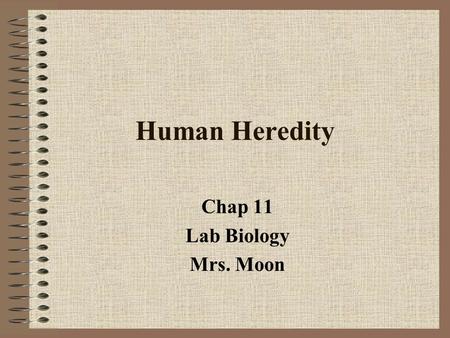 Human Heredity Chap 11 Lab Biology Mrs. Moon. Human Genetics Human chromosome # = 46 Human nucleotide pairs of DNA = 6 billion Gametes – reproductive.