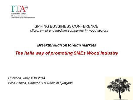 SPRING BUSSINESS CONFERENCE Micro, small and medium companies in wood sectors Breakthrough on foreign markets The Italia way of promoting SMEs Wood Industry.