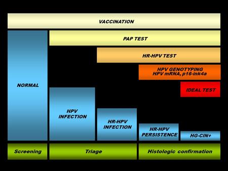 NORMAL HPV INFECTION HR-HPV INFECTION HR-HPV PERSISTENCE HG-CIN+ HR-HPV TEST PAP TEST HPV GENOTYPING HPV mRNA, p16-ink4a ScreeningTriageHistologic confirmation.