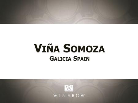 V IÑA S OMOZA G ALICIA S PAIN. Building The Brand: Selling Points: DO Valdeorras Vina Somoza was founded in 2001 by Victor Fernandez with the goal of.