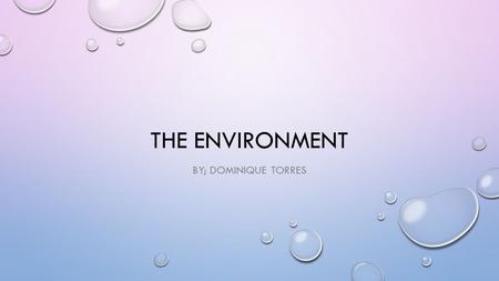 THE ENVIRONMENT BY; DOMINIQUE TORRES. THE DROUGHT. WHAT HAPPENED TO ALL THE WATER? BEFORE THE DROUGHT AFTER THE DROUGHT.