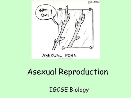 Asexual Reproduction IGCSE Biology Asexual reproduction Asexual reproduction involves NO fertilisation between male and female gametes. Offspring are.