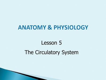 Lesson 5 The Circulatory System.  State the purpose, structures, and functions of the circulatory system  Discuss problems that occur within the circulatory.