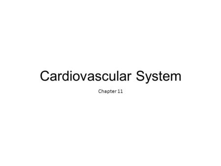 Cardiovascular System Chapter 11. Conduction System Intrinsic conduction system (nodal system)