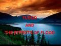 FLOOD AND THE EFFECTS OF FLOOD. A flood is a natural disaster resulting from the volume of water within a bady of water such as river or lake WHAT IS.