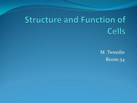 M. Tweedie Room 54 Cytoskeleton The cytoskeleton is a network of protein filaments that help: the cell retain its shape with cellular movement What are.