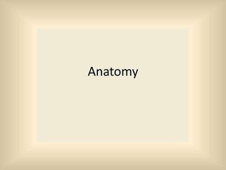 Anatomy. Form and structure of the body and its parts What things look like and where they are located.