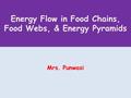 Energy Flow in Food Chains, Food Webs, & Energy Pyramids Mrs. Punwasi.