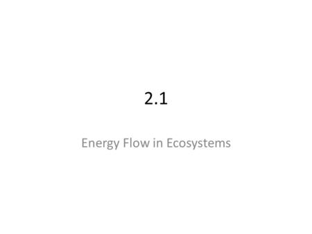 Energy Flow in Ecosystems