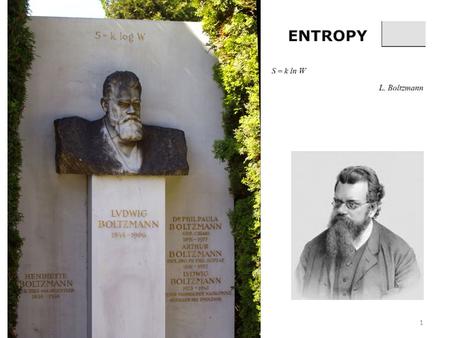 1. 2 For a single state ln(1) = 0. At absolute 0, in a perfect crystal with no defects etc. Entropy of different aspects of a system, conformational entropy,