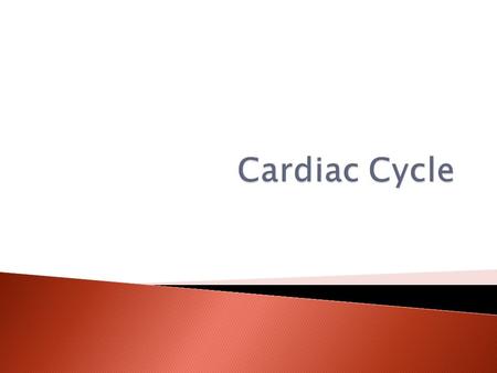  Describe the cardiac cycle (how the heart beats)  Understand the relationship with changing pressures and the valve closures.