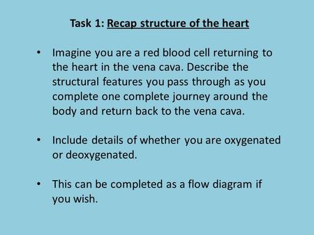 Task 1: Recap structure of the heart Imagine you are a red blood cell returning to the heart in the vena cava. Describe the structural features you pass.