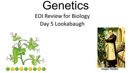 Genetics EOI Review for Biology Day 5 Lookabaugh.