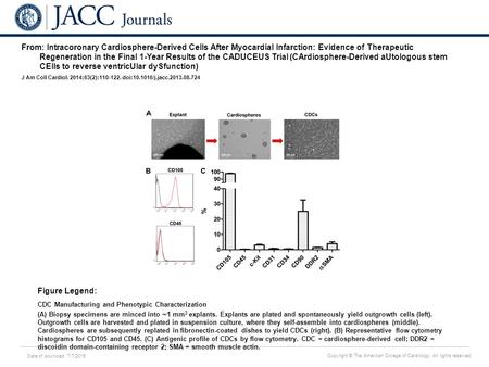 Date of download: 7/7/2016 Copyright © The American College of Cardiology. All rights reserved. From: Intracoronary Cardiosphere-Derived Cells After Myocardial.