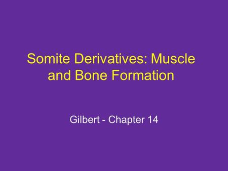 Somite Derivatives: Muscle and Bone Formation Gilbert - Chapter 14.