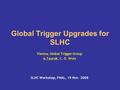 Global Trigger Upgrades for SLHC Vienna, Global Trigger Group A.Taurok, C.-E. Wulz SLHC Workshop, FNAL, 19 Nov. 2008.