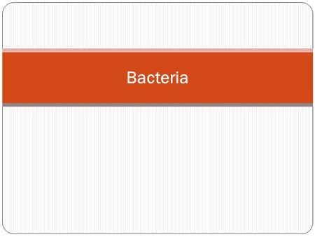 Bacteria. Cells Eukaryote: An organism with cells that contain a nucleus and other cell structures Prokaryote: An organism whose cells lack a nucleus.