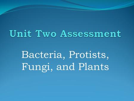 Bacteria, Protists, Fungi, and Plants. An Amoeba.