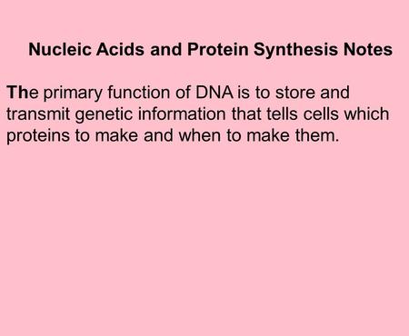 Nucleic Acids and Protein Synthesis Notes The primary function of DNA is to store and transmit genetic information that tells cells which proteins to make.