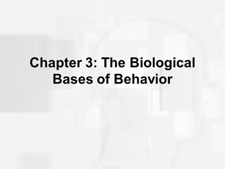 Chapter 3: The Biological Bases of Behavior