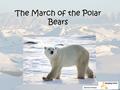 The March of the Polar Bears. What is today’s lesson about?