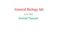 General Biology lab Lab 7&8 Animal Tissues. A tissue : Is aggregation of cells, perform the same function, and is bound together by a certain substance.