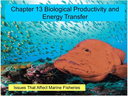 © 2014 Pearson Education, Inc. Chapter 13 Biological Productivity and Energy Transfer Issues That Affect Marine Fisheries.