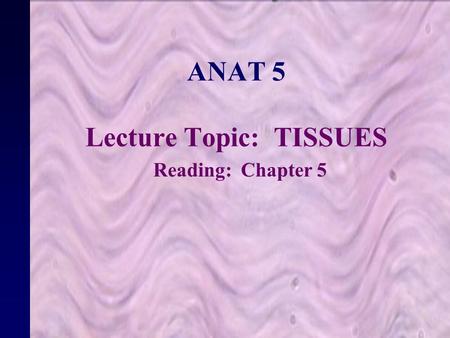 1 ANAT 5 Lecture Topic: TISSUES Reading: Chapter 5.