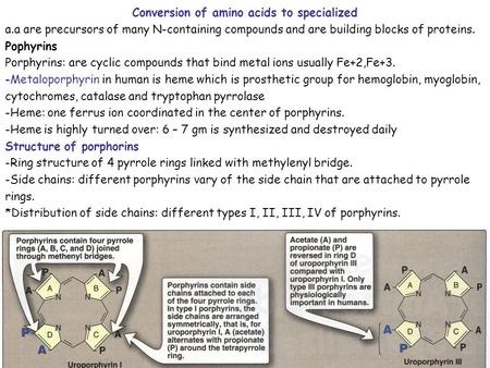 Conversion of amino acids to specialized