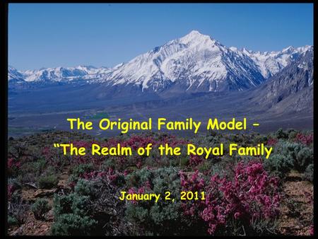 The Original Family Model – “The Realm of the Royal Family January 2, 2011.