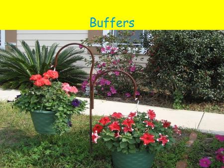 Buffers. Introduction Buffers are important in biochemical processes. Whether they occur naturally in plasma or in the cytosol of cells, buffers assure.