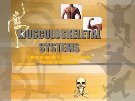 MUSCULOSKELETAL SYSTEMS MUSCULOSKELETAL SYSTEMS Stores minerals in bones (Calcium) Produces blood cells.