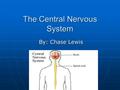 The Central Nervous System By: Chase Lewis. Central Nervous System There are two main parts of the central nervous system. There are two main parts of.