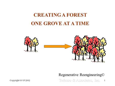 Copyright 03/15/20021 CREATING A FOREST ONE GROVE AT A TIME Regenerative Reengineering©