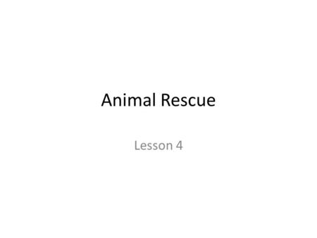 Animal Rescue Lesson 4. What will you do in this lesson?