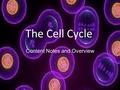 The Cell Cycle Content Notes and Overview. Background Understanding… DNA! What do we recall?? What type of macromolecule is DNA? What is the function.