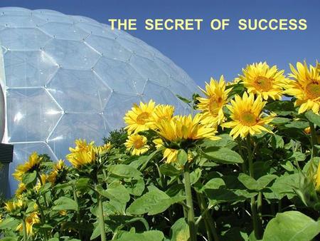 THE SECRET OF SUCCESS. Tim Smit and other creators of the Eden Project see the site as much more than a collection of plants.