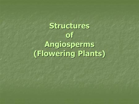 Structures of Angiosperms (Flowering Plants). Vascular Tissue (Plumbing) Xylem (moves water + nutrients) Xylem (moves water + nutrients) Phloem (moves.