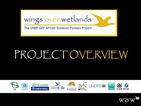 PROJECT OVERVIEW. Flyway-level Conservation of Migratory Waterbirds in Africa and Eurasia.