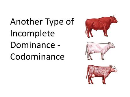 Another Type of Incomplete Dominance - Codominance.