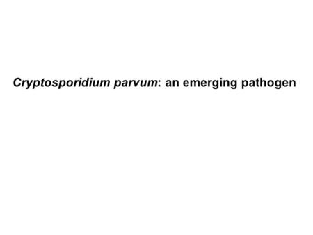 Cryptosporidium parvum: an emerging pathogen