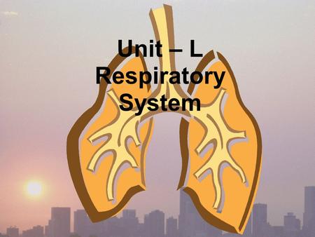 Unit – L Respiratory System. Respiratory Structures 1. Nasal Cavity --Air is warmed, filtered, and moistened 2. Pharynx -- Back of throat -- Common passage.