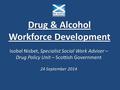 Drug & Alcohol Workforce Development Isobel Nisbet, Specialist Social Work Adviser – Drug Policy Unit – Scottish Government 24 September 2014.