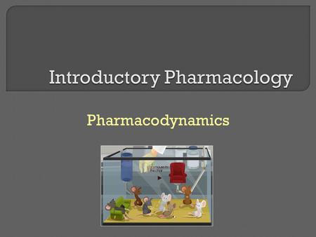 Pharmacodynamics. * The study of the biochemical and physiologic effects of drugs and the molecular mechanisms by which those effects are produced * The.