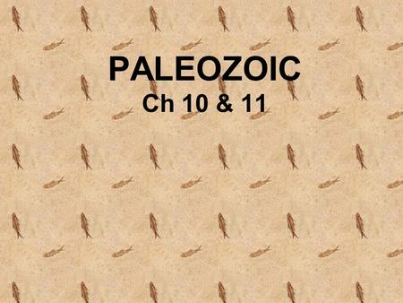 PALEOZOIC Ch 10 & 11.