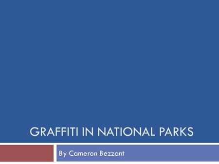 GRAFFITI IN NATIONAL PARKS By Cameron Bezzant. Government Entity  National Parks Conservation Association  Members: Conservation Programs Mark Wenzler,