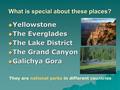 What is special about these places?  Yellowstone  The Everglades  The Lake District  The Grand Canyon  Galichya Gora They are national parks in different.