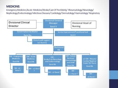 MEDICINE: Emergency Medicine /Acute Medicine/Stroke/Care Of The Elderly/ Rheumatology/ Neurology/ Nephrology/Endocrinology/ Infectious Diseases/ Cardiology/