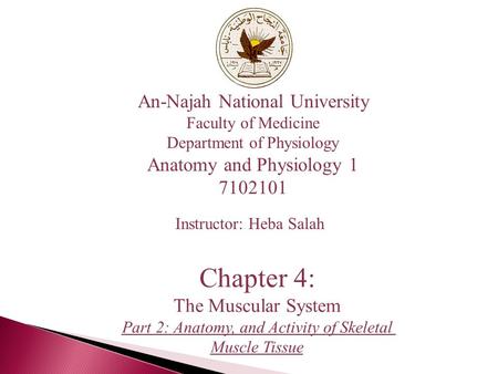 An-Najah National University Faculty of Medicine Department of Physiology Anatomy and Physiology 1 7102101 Instructor: Heba Salah Chapter 4: The Muscular.